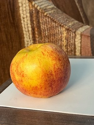 IMG_0084.jpeg