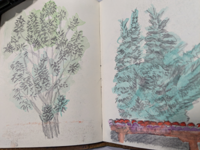 trees.png