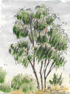 Quick sketch of a tree.png