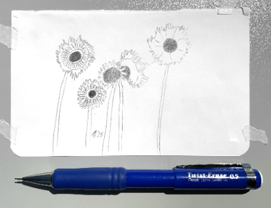 SH171 - 2c - sunflowers w-pencil.png