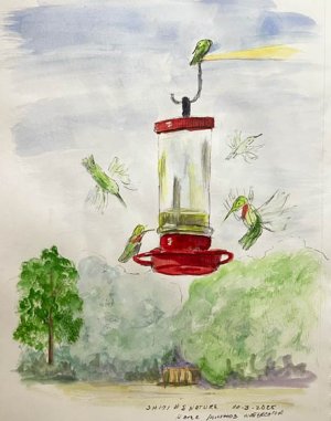 csshfl171nature.jpg