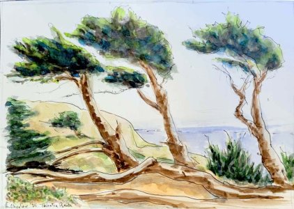 Thornton Beach Oct 25.jpg