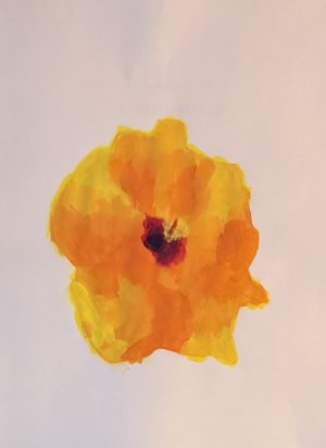 IMG_7229.jpeg