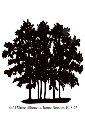 csshfl172silhouette.jpg