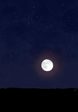 SH172 - 3 - moon at night.png