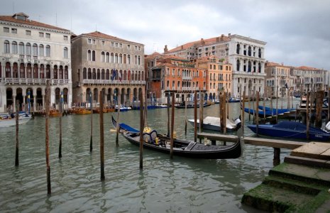 DSC_0133.jpg