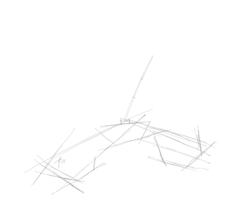 SH172 - 5a - seed pod.png