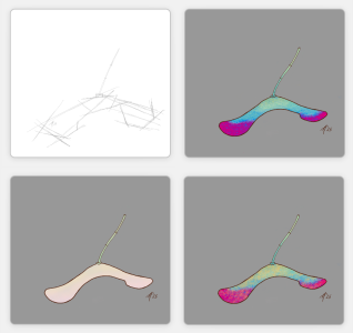 SH172 - 5e - seed pods.png