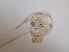 IMG_20251010_160116761_MFNR.jpg