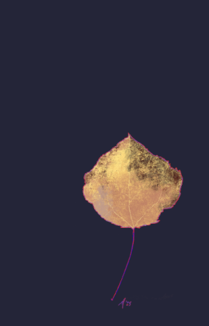 SH172 - 6 - quaking aspen leaf.png