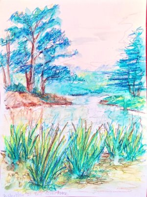 Blue Heron Lake Neocolor 2.jpg