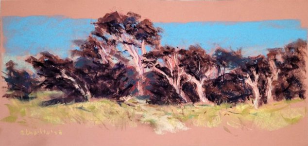 Wavecrest outside tunnel PTBE Nov 25.jpg