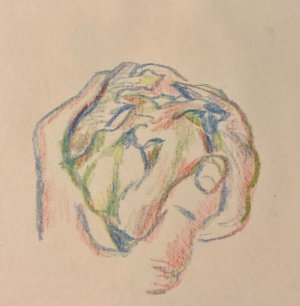 IMG_8747.jpeg IMG_8747.jpeg