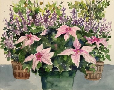 IMG_8762.jpeg IMG_8762.jpeg