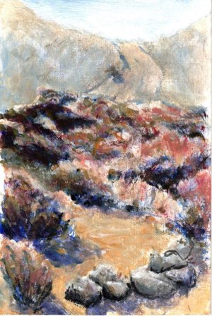 Mori Point Nov 2025 Ceracolor.jpg