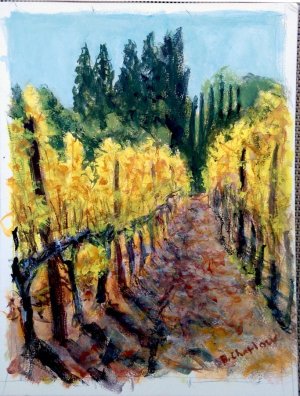 portola vineyards 1.jpg