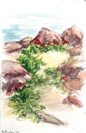 rocks at pillar point harbor dec 25.jpg