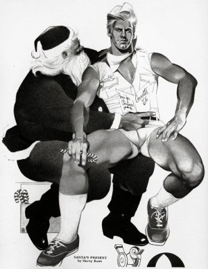 Harry Bush Christmas.jpg