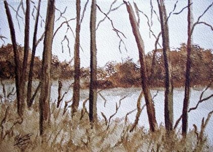 trees-by-river.jpg