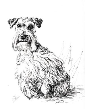 inkschnauzer-challenge.jpg