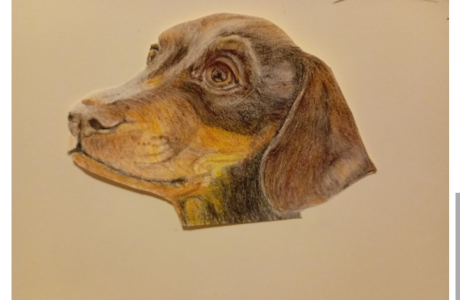 Screenshot_20250830-134054~2_1756560541175 (1).png