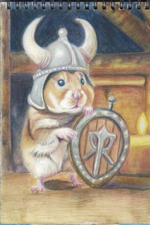 Viking Hamster Mar 2024.JPG