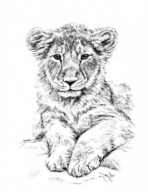 lioncub.jpg