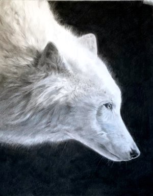 whiteWolf_WIP.jpg
