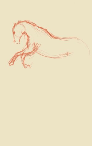 2026-02-15 11-09.jpeg