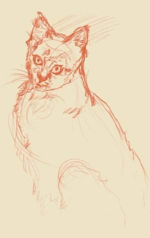 2026-02-15 11-09 1.jpeg