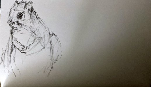 2026-02-15 11-09 2.jpeg