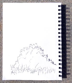 SH183 - 1b - scrub - full pg.png