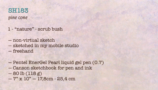 SH183 - 1d - scrub - details.png