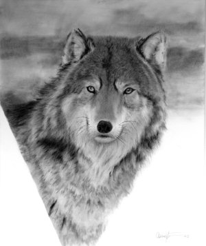 i can see you_wolf in charcoal_final_sized.jpg