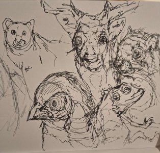 2026-02-21 18-28.jpeg