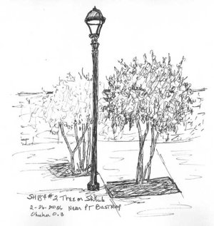 csshfl184tree.jpg