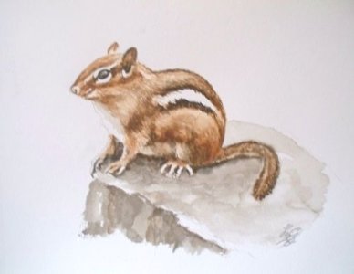 watercolorchipmunk.jpg