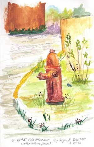 csshfl186firehydrant.jpg