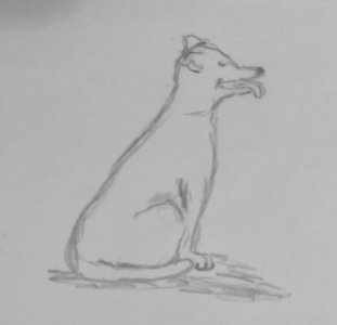 IMG_9555.jpeg IMG_9555.jpeg