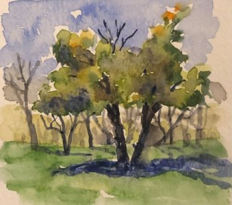 IMG_9551.jpeg IMG_9551.jpeg