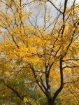 F97B692B-B75D-4267-BF07-6F139618C5CB.jpeg