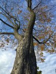 7069BC25-CA28-485D-86D3-37B10999FD99.jpeg