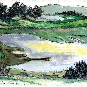 Bodega Bay over Doran Park watercolor & ink.jpg