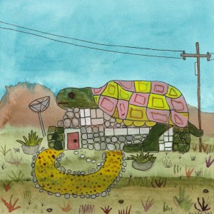 little-turtle-house72.jpg