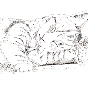 20230929Sk9 Sleeping Kitten (WDE 10-6-23, Inktober).png
