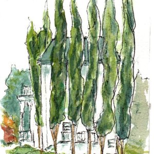 Cedars at Purcell House Grass Valley.jpg