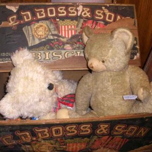 Toy Teddies in antique store.jpg