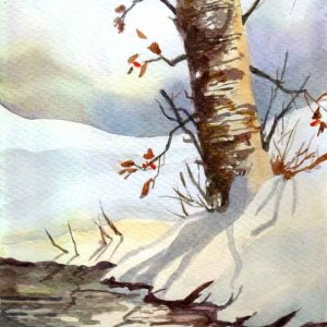 Tree by Snowy Stream.jpg