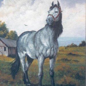grayhorse.jpg