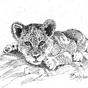 Lion Cub.jpg